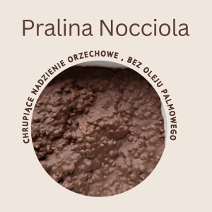 Masa Pralinowa Ciemna 5kg (orzech laskowy w czekoladzie mlecznej ) 